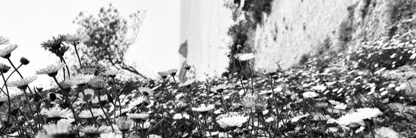 djehanne_gn Profile Banner