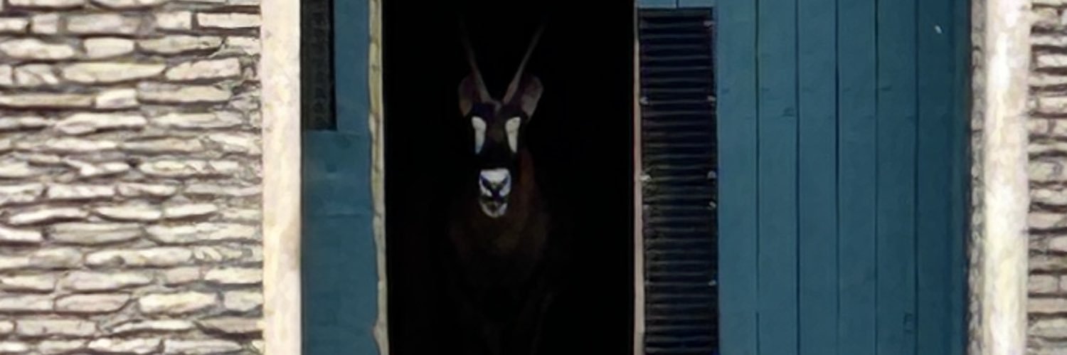 jimmysean LLC fat boy spring provacatour banner