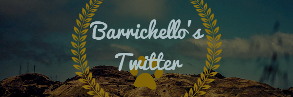 barrichello13's profile banner image
