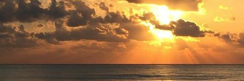 Sad Nixx banner