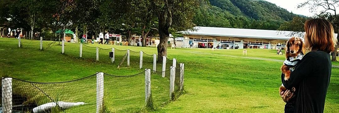 ハルニエ カツラ banner