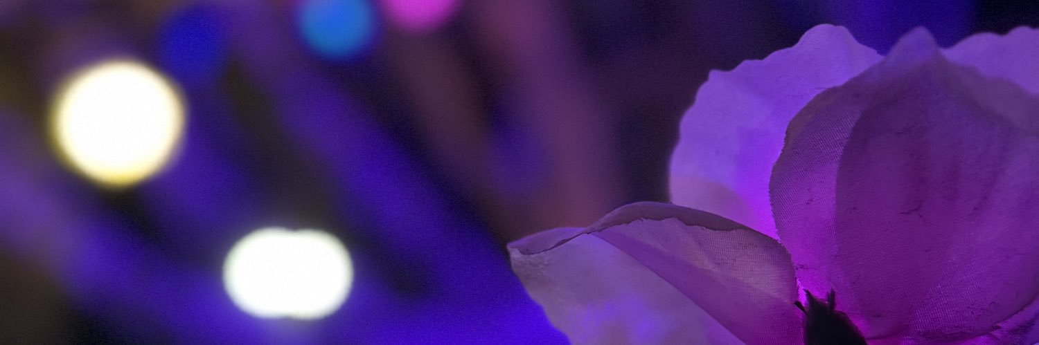 nothilda's profile banner image