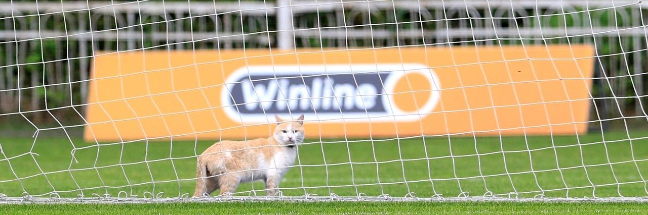 SAstahov's profile banner image