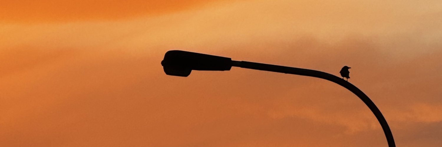 Ibrahim banner