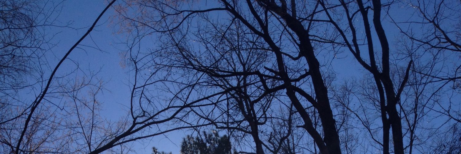 Twitter banner for @YungMusti