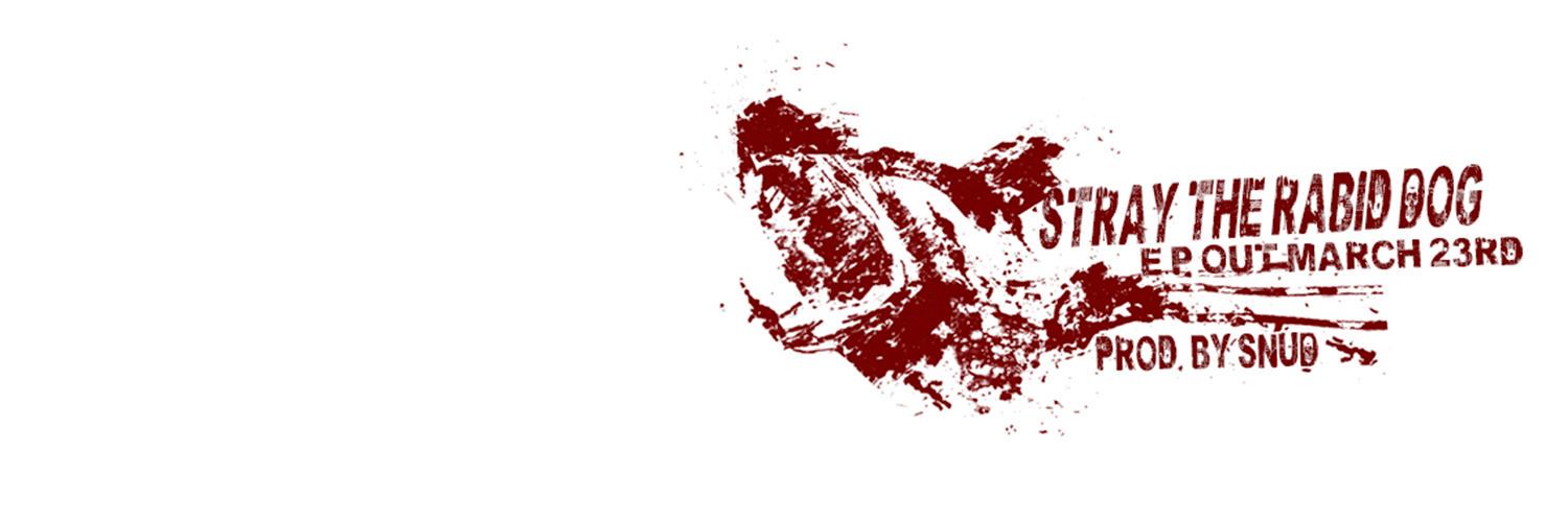 straythedog's profile banner image