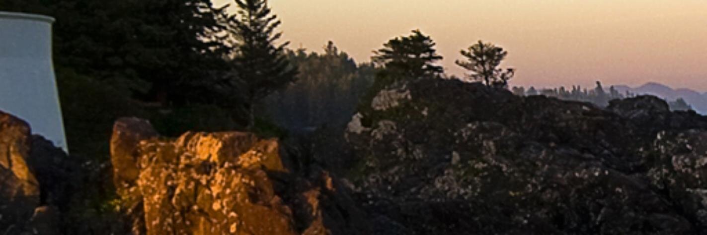 Andrew bwire banner
