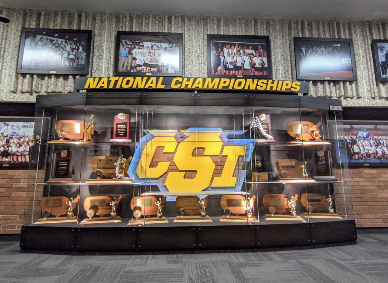 CSI Golden Eagles's banner