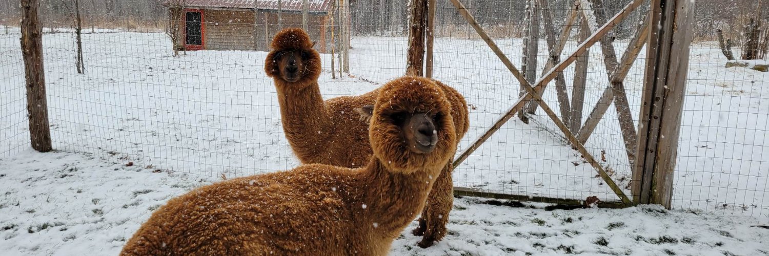 Frédéric Raymond banner