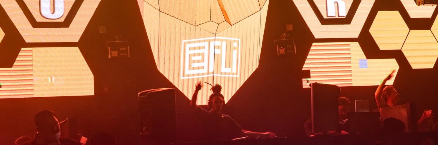 e-fli banner