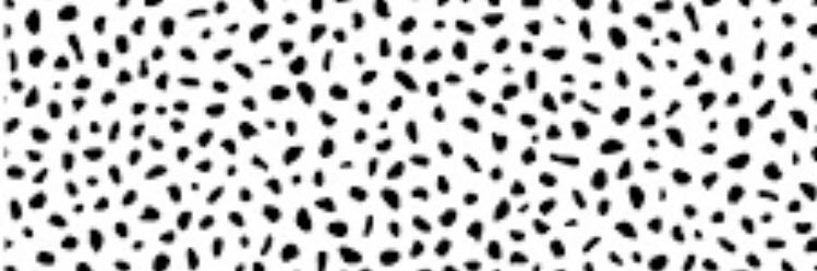 Addison Wadle banner