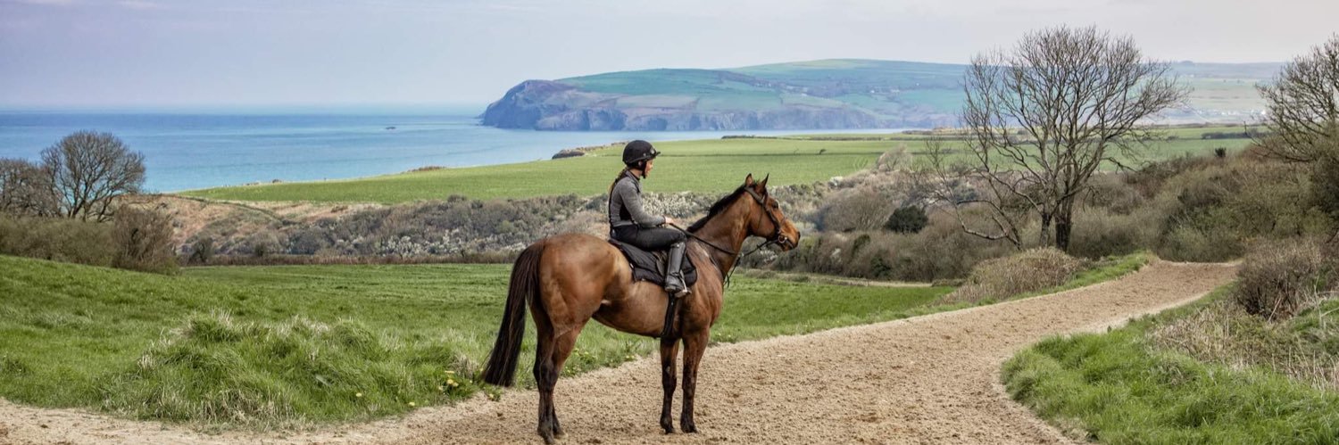 Elen Nicholas banner