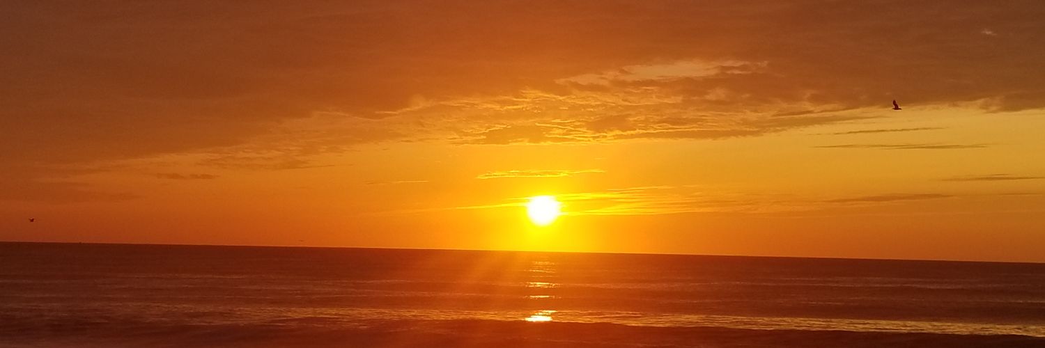 MarinaLiburdi1's profile banner image