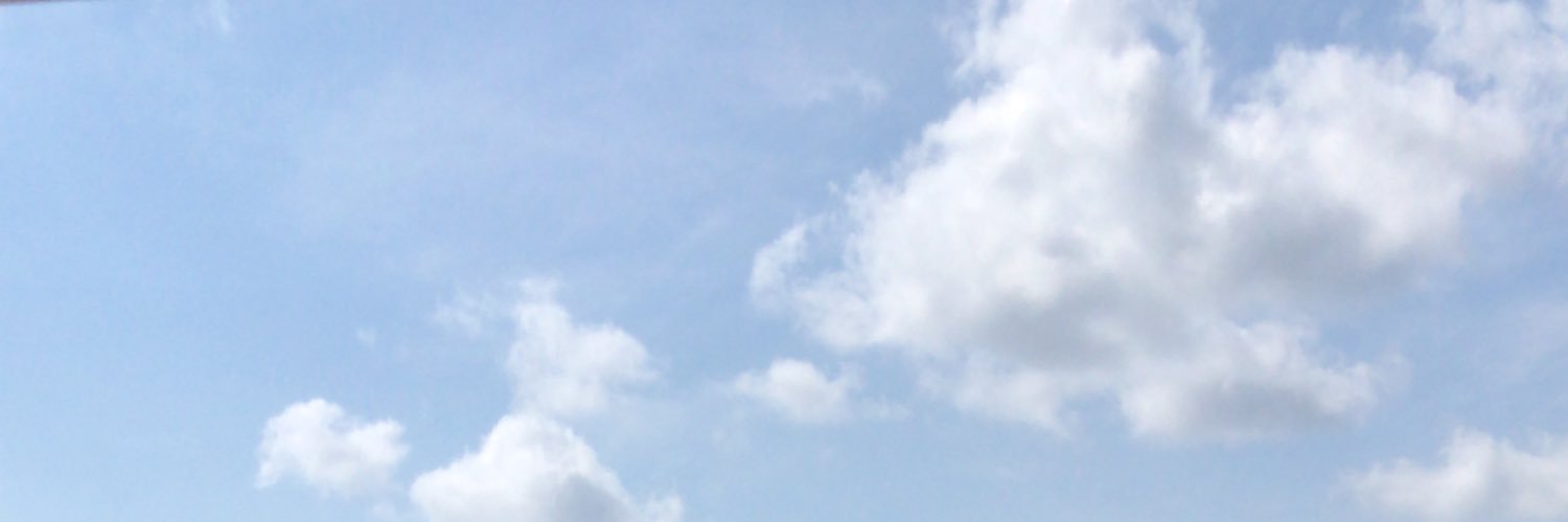 ianparulians's profile banner image