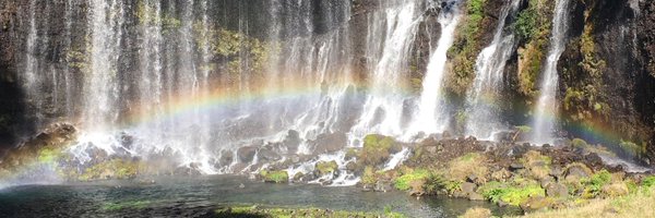 Mkaur_pb Profile Banner