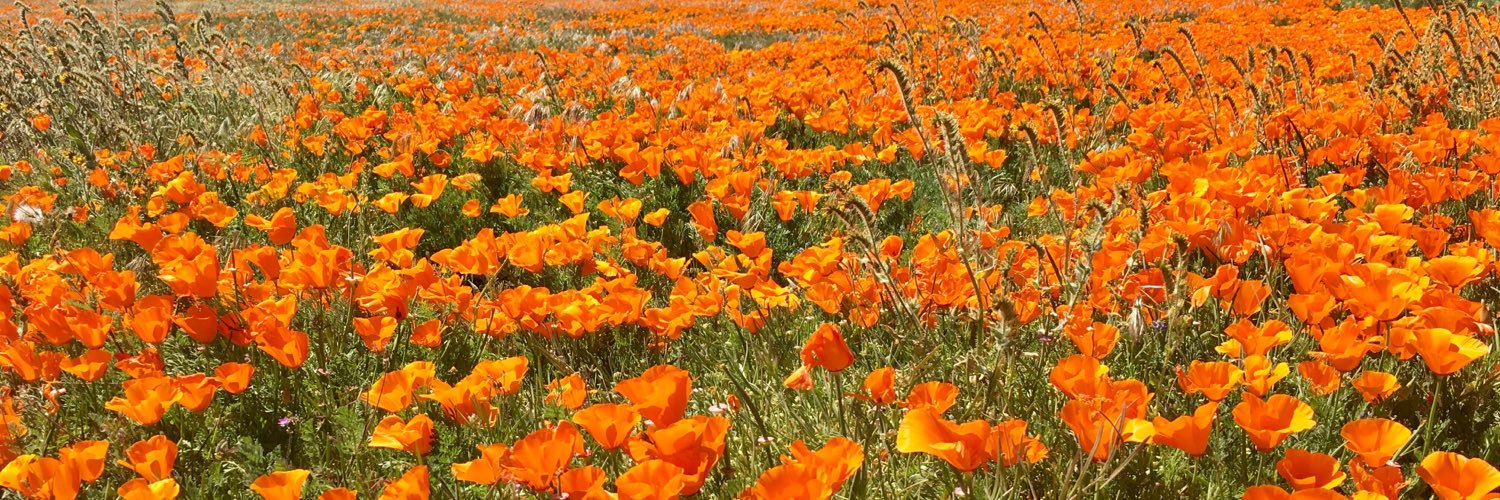 Kelly Clancy Grogan banner