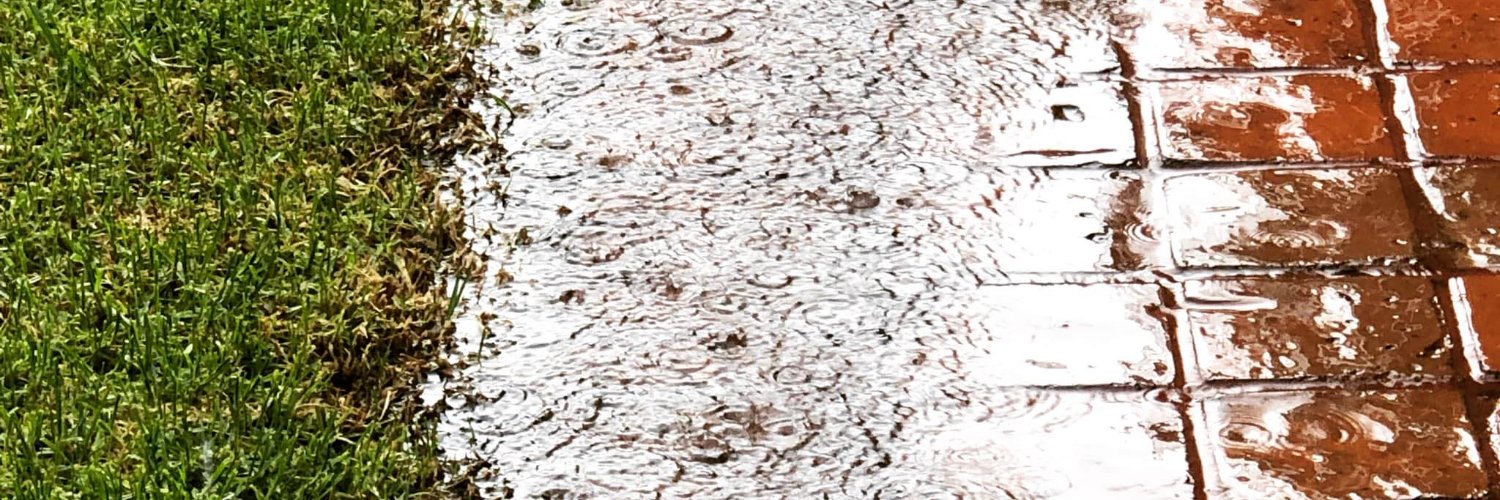 AlexCarranco's profile banner image