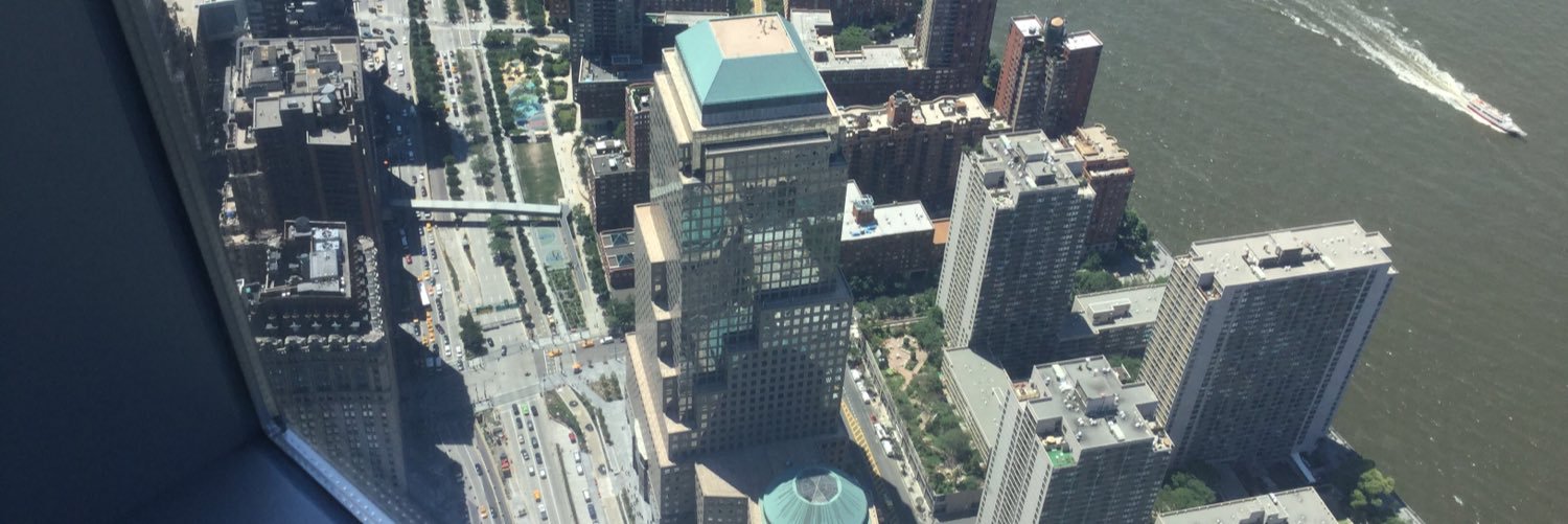 veronica swallow banner