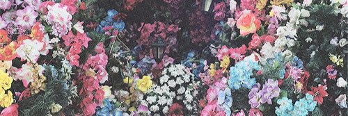 CandeeMoraviski's profile banner image