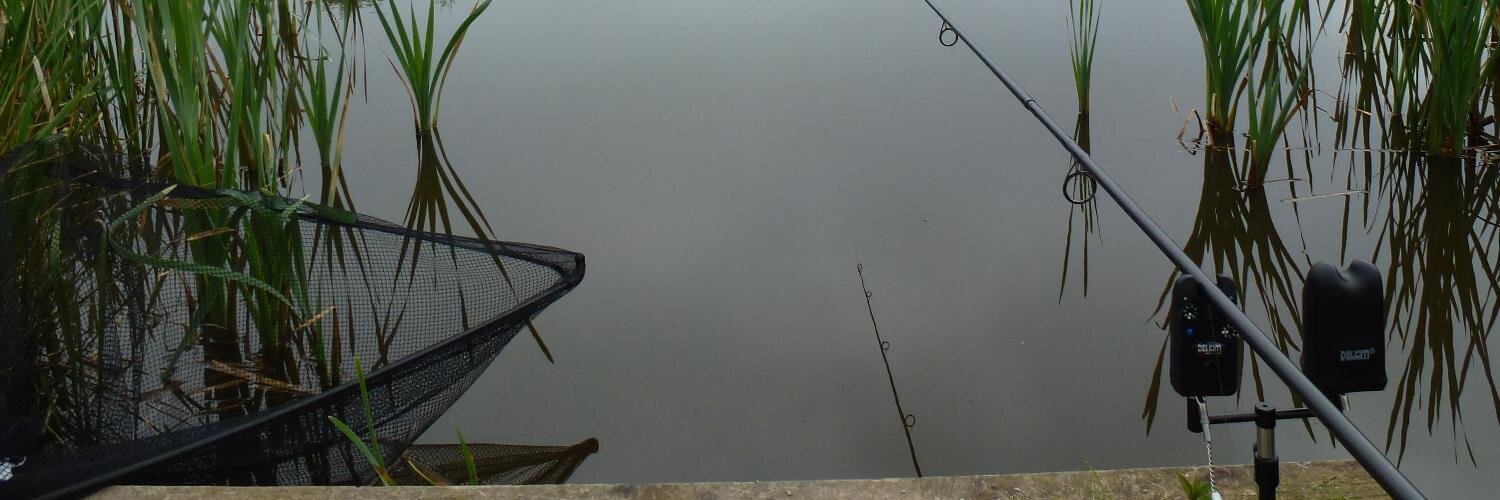 stebedford's profile banner image
