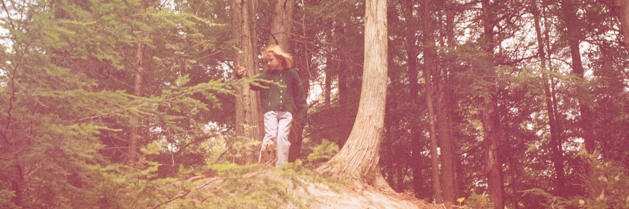 nerdyginger66's profile banner image