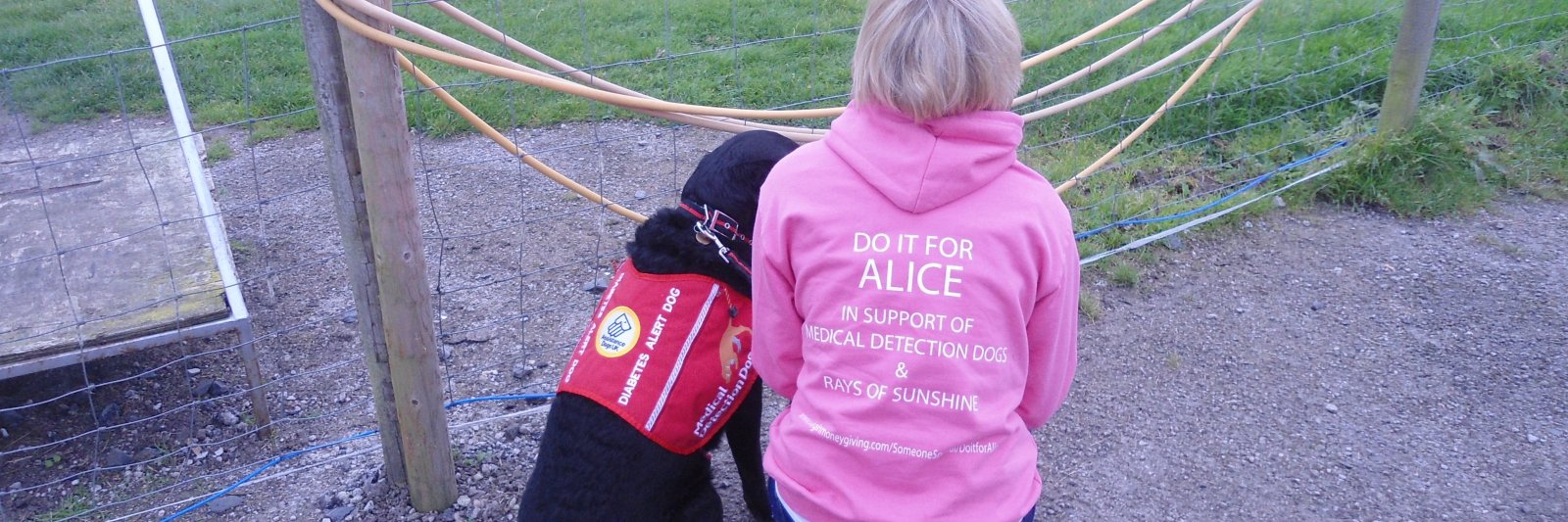 alicehalstead's profile banner image