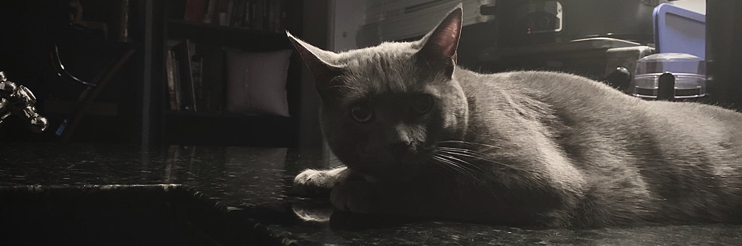 JoshBrice_'s profile banner image