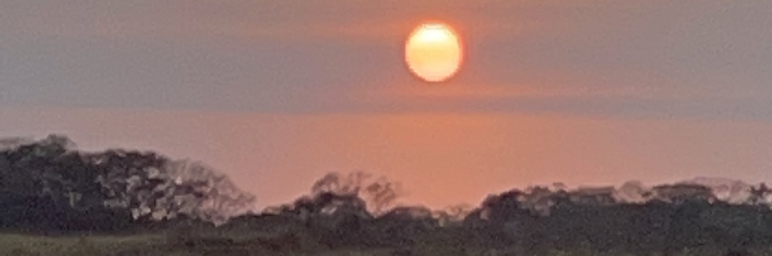 meli_muralles's profile banner image