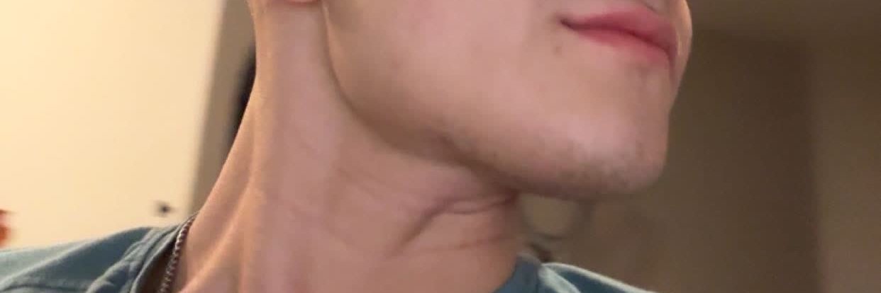 NicoPrimebuilt banner