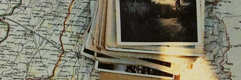 danitrivisonno's profile banner image