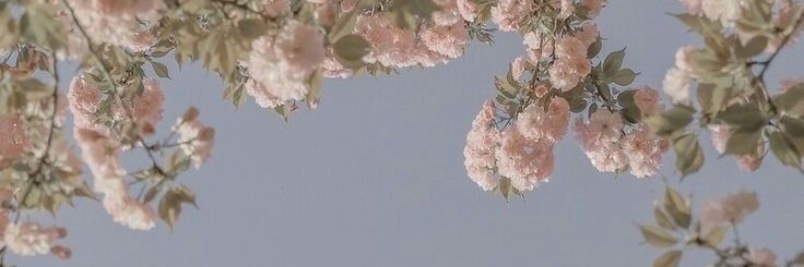 HonestlyTG's profile banner image