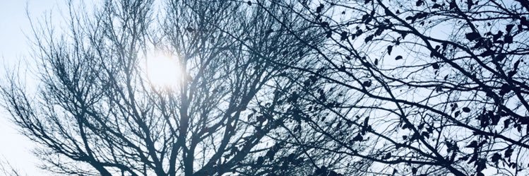 Sebrena Clarke banner