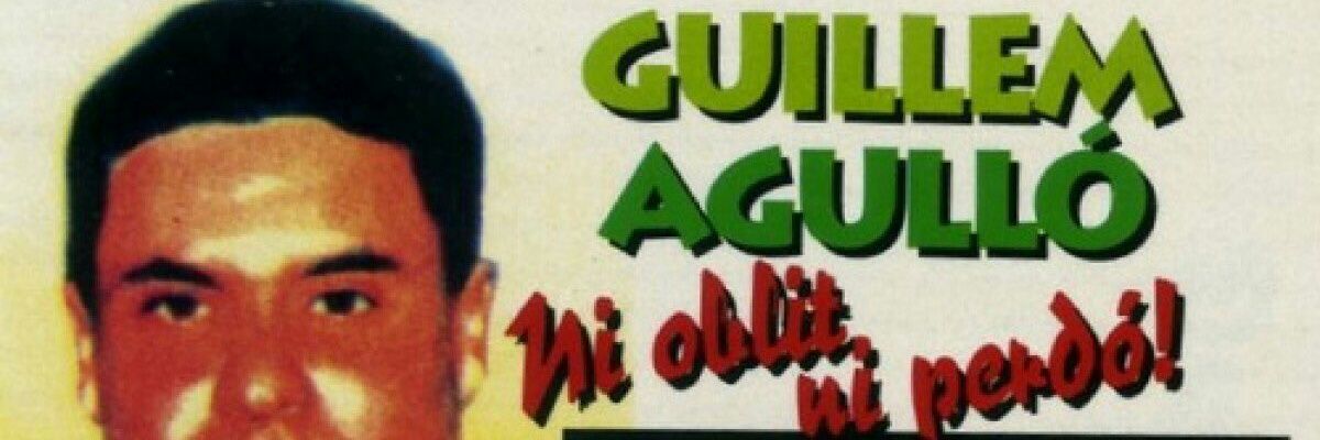 Guillem #Jaelshemagranat de Tortosa banner