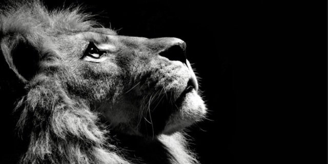 jdavis605's profile banner image