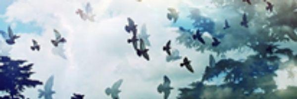 PeequeSanchez's profile banner image