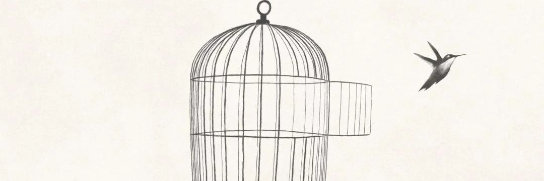 Historia de México banner