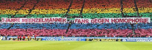 Bär mit Ö 🐻 banner