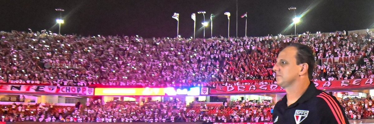 brunoCotia banner