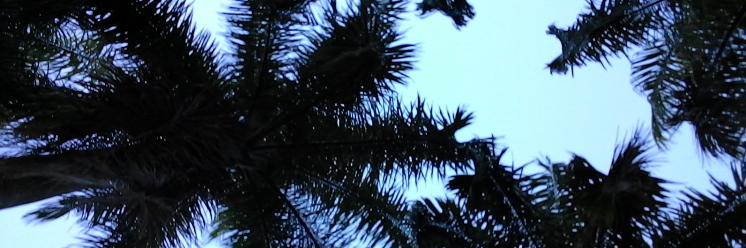 Domque_'s profile banner image