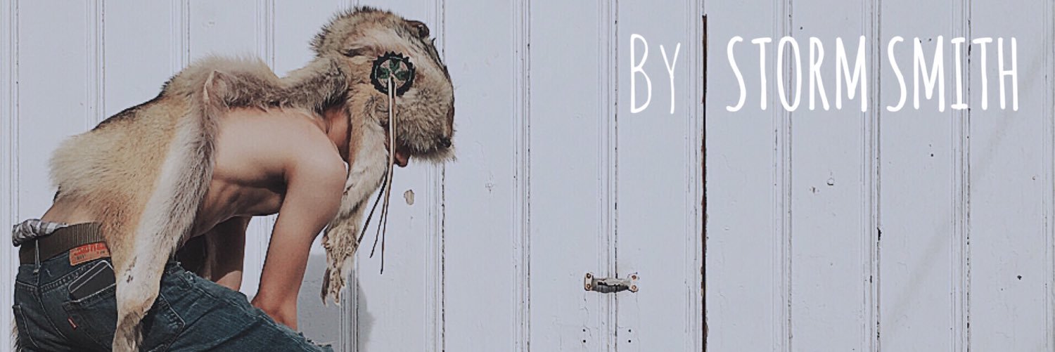 StormSmithMusic's profile banner image