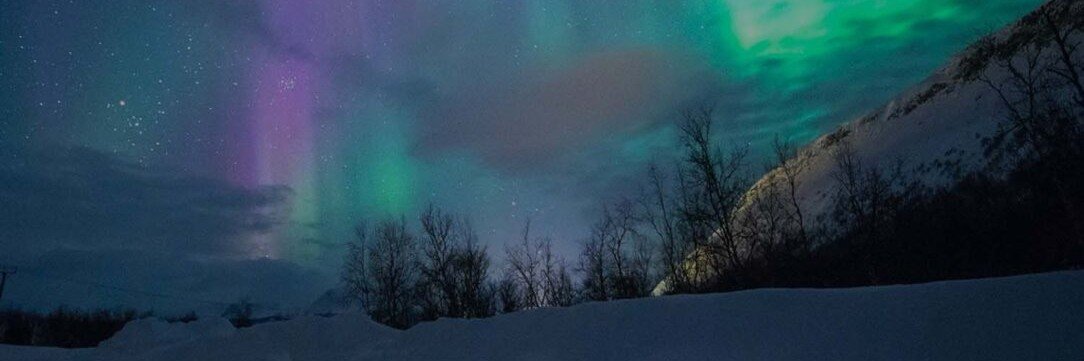 trblmkrrrx's profile banner image