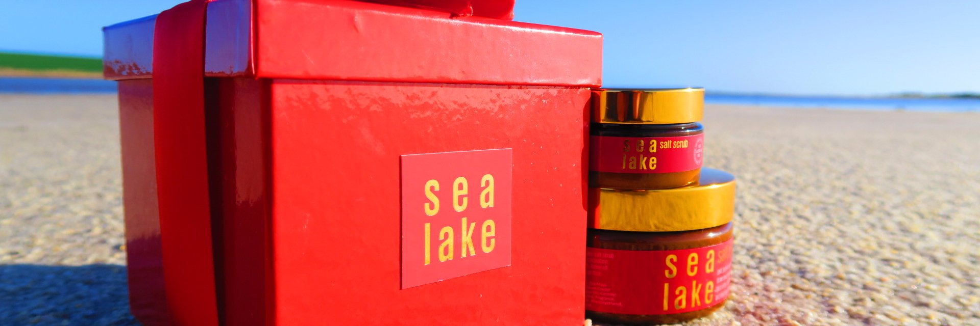 OriginalSealake's profile banner image