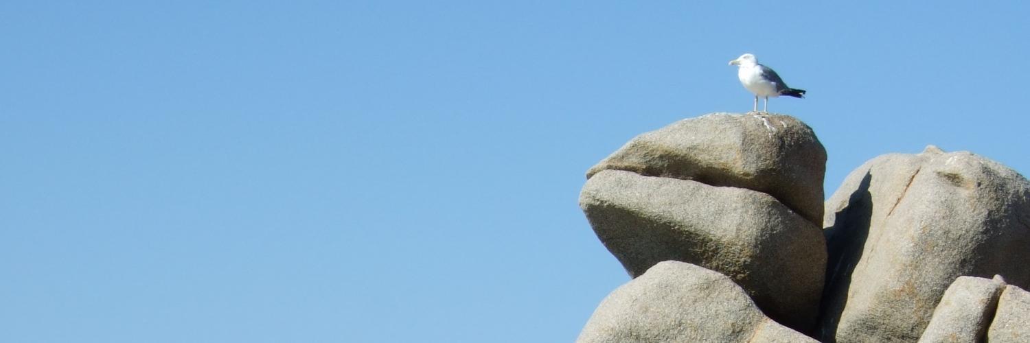 silvanaloffredo's profile banner image