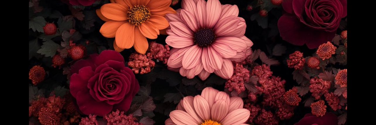 Sofichze's profile banner image