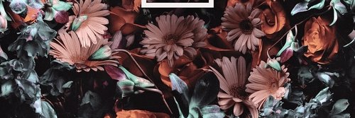 amutang's profile banner image