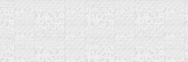 mohamed shehata banner