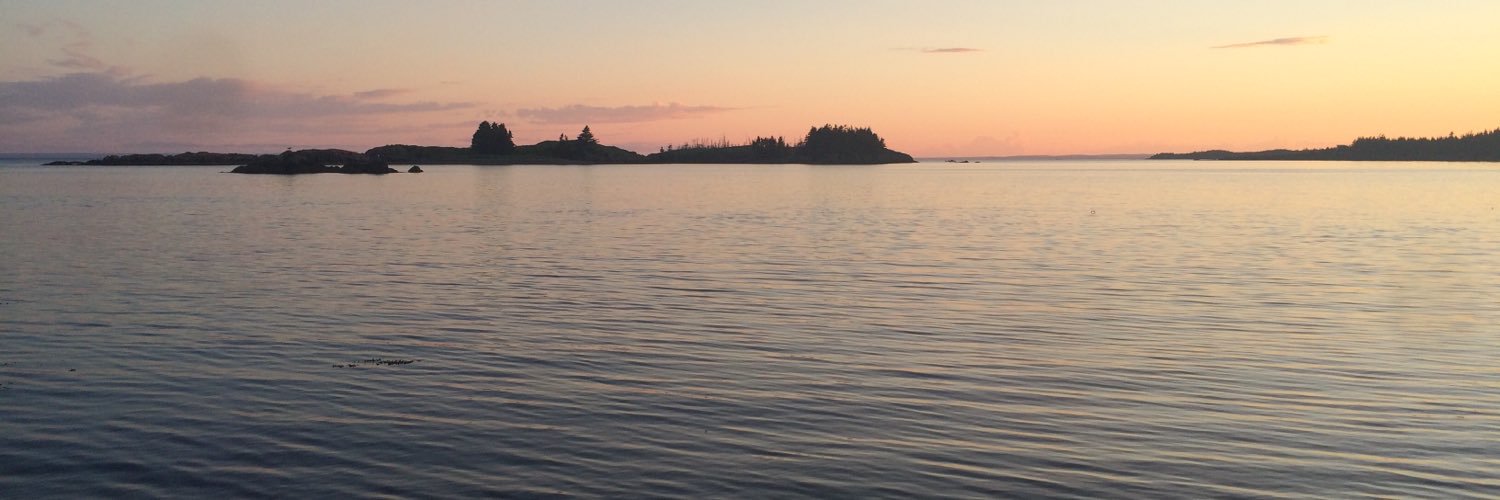 Dominique_Land's profile banner image