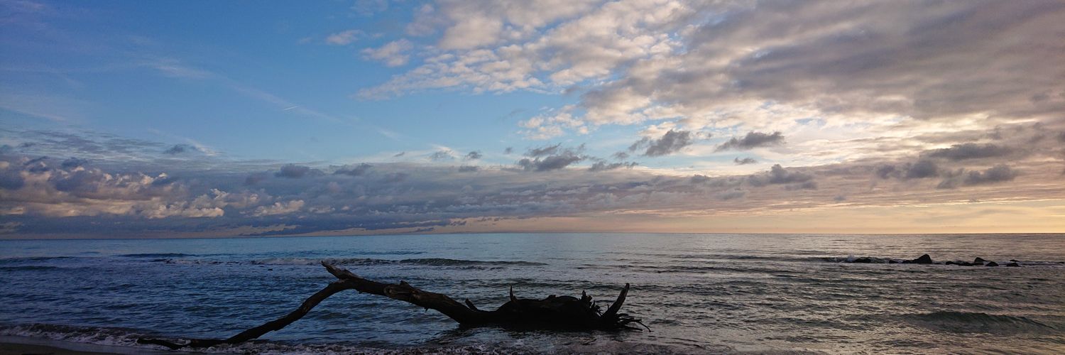 Simone Busetti banner