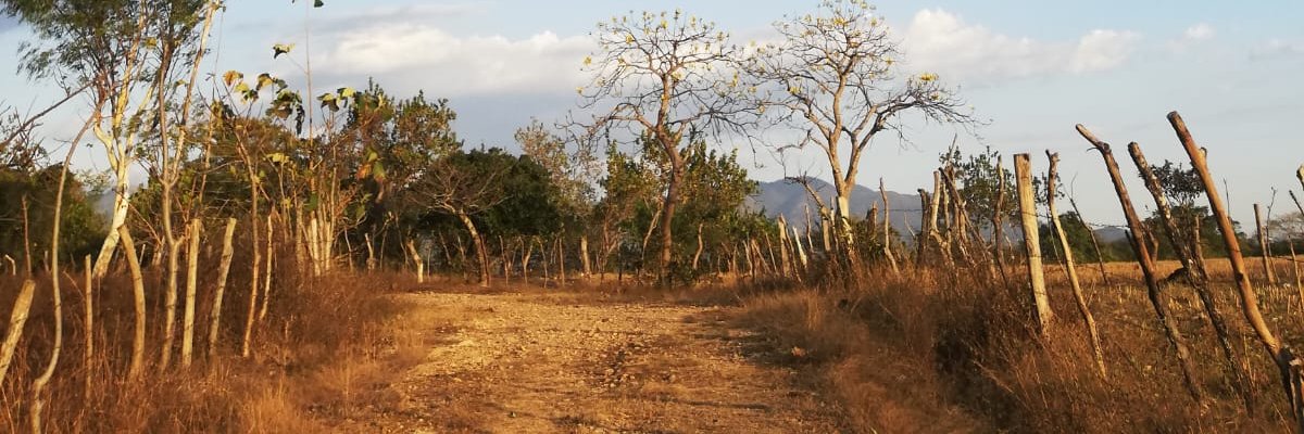 John_espartacus's profile banner image