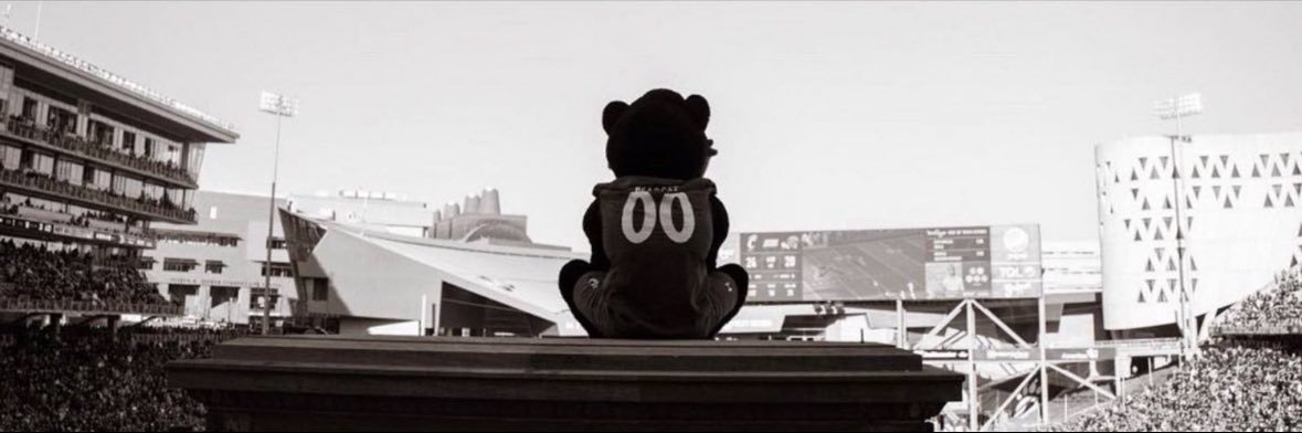 TheCincyBearcat's profile banner image